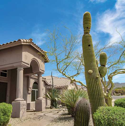 Brown home with tall entry arch and desert landscape with cactus in forefront