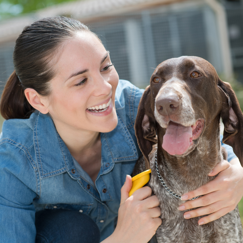 woman volunteering at local animal shelter