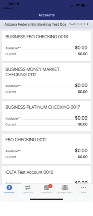 Screen Shot of Main Mobile Banking Accounts