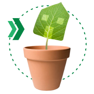 SUSTAINABILITY