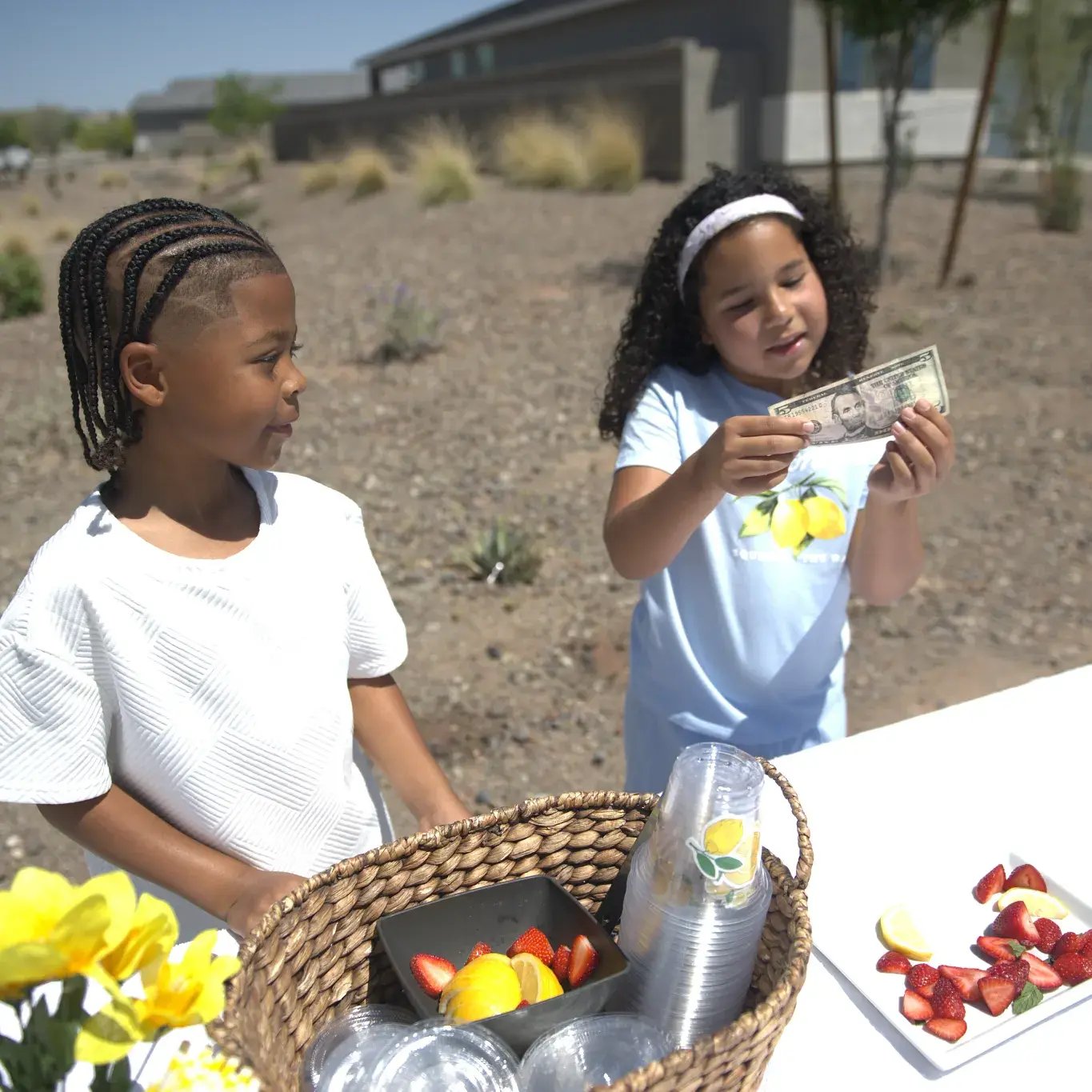 Lemonade Stand Shoot-five-dollars